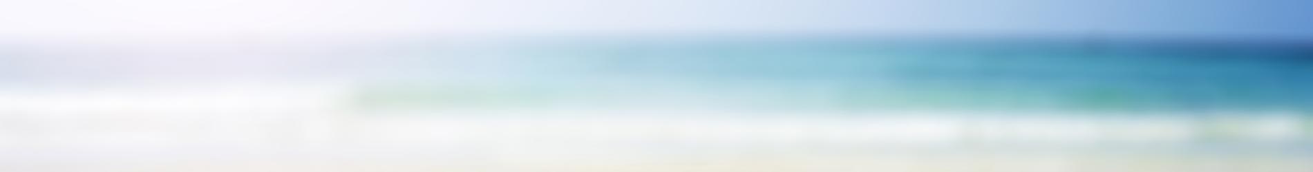 glasreinigung_banner.jpg